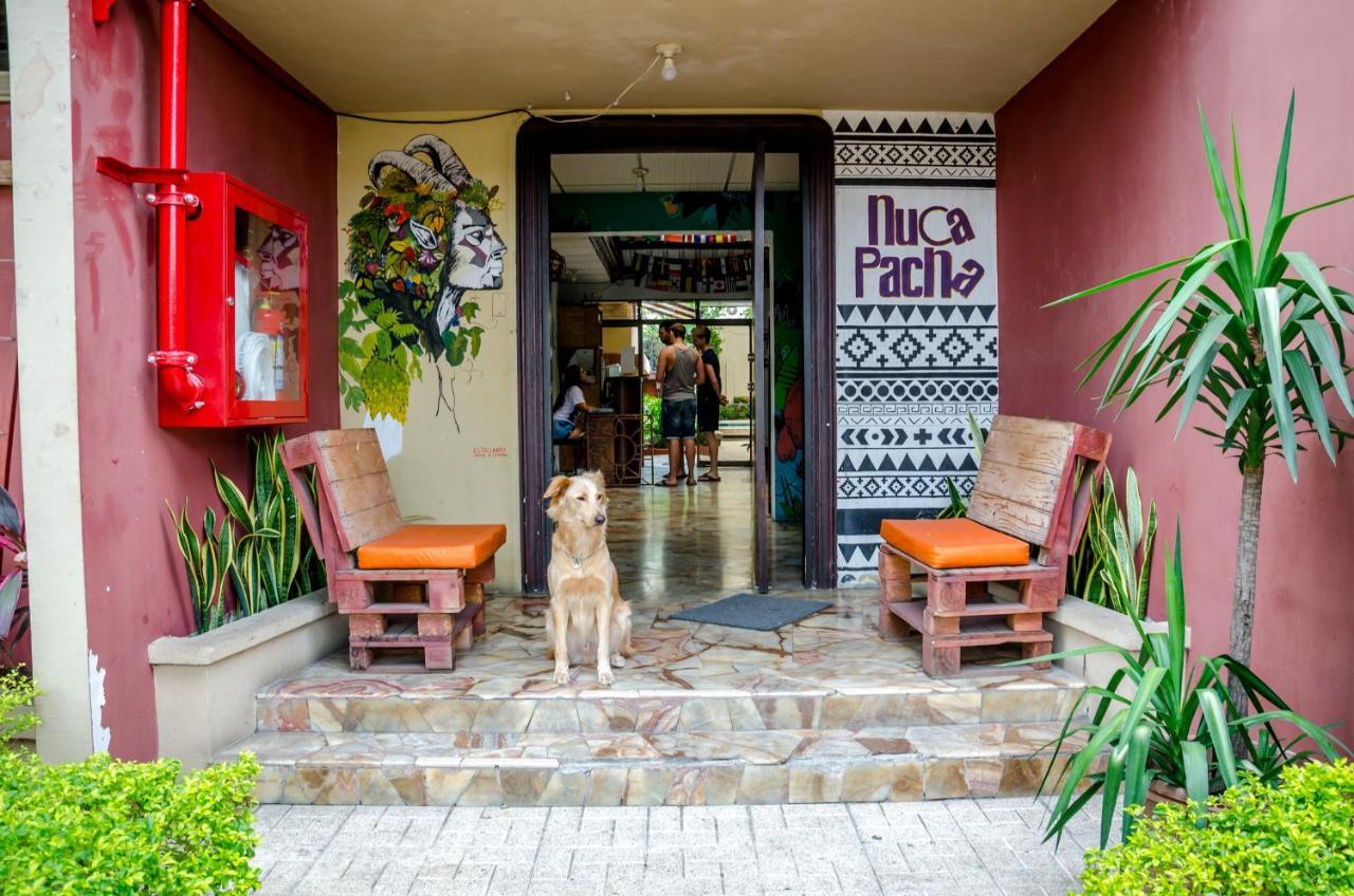Hostel Nucapacha Guayaquil Extérieur photo
